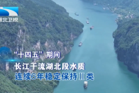 “十四五”非凡历程的实践与启示丨大江澎湃绿意浓