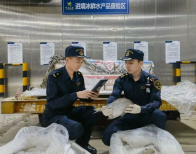 从枝头到手头！鄂州打造“全球买卖”双引擎