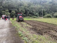 油菜机械化直播  助农增产增收