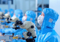 党的二十届四中全会精神在湖北引发热烈反响