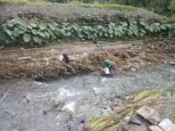 大庙乡常态化清理河道清洁行动