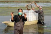 “土丝瓜”变形记——看甬黄合作如何点“络”成金