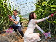 好品竹山 | 溢水火龙果