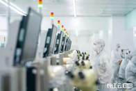 湖北，“模”力全开