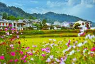 擂鼓镇西河村：田园风光“俏”起来