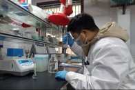 县公共检验检测中心筑牢粮食安全“防护网”