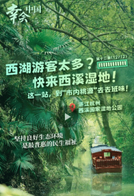 幸会中国 | 走进西溪湿地，漫步“市内桃源”，共享绿色空间