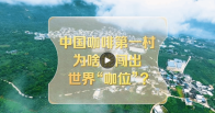 改革者 正青春｜中国咖啡第一村为啥能闯出世界“咖位”？