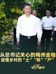 说“闻”解字·从总书记关心的梅州金柚，读懂乡村的“土”“特”“产”