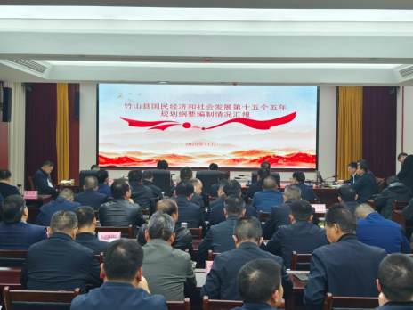 县规划委员会2025年第五次全体会议召开