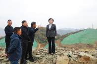 王丽媛调研督导城北新区建设