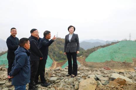 王丽媛调研督导城北新区建设