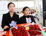 不靠海的武汉，何以成为全球生鲜“高速入口”