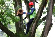 霍河流域400个定制鸟巢“交房”