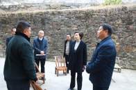 王麗媛到城關鎮調研