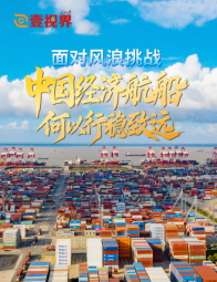 壹视界·微视频｜面对风浪挑战，中国经济航船何以行稳致远？
