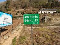 雙臺鄉：栽植森林防滅火宣傳牌