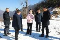 王麗媛到官渡柳林督導調研重點項目建設