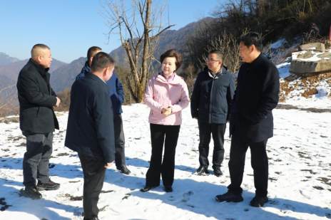 王丽媛到官渡柳林督导调研重点项目建设