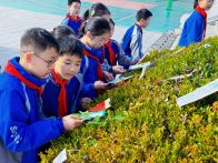 树枝结“智慧”  花坛藏“诗行”