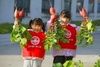 萌娃“务农”记