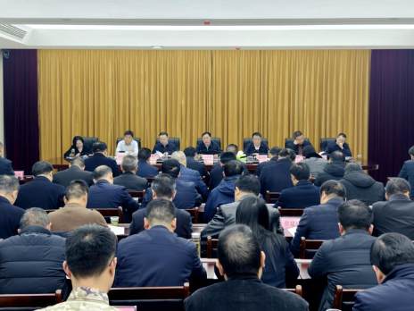 全縣平安穩定工作視頻會議召開