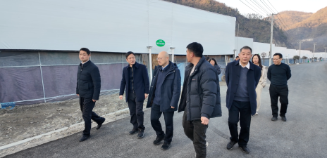 市蔬菜产业发展中心主任刘军调研我县食用菌产业