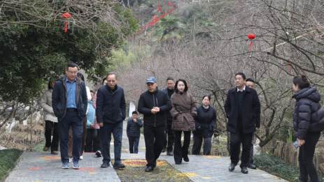 省森林康养研究会专家来竹调研