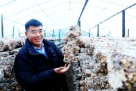 竹山冬季菌菇产销两旺