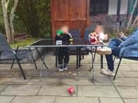 太和梅花谷赏梅季现不文明行为 美景之下需文明相伴