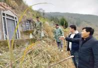 官渡镇：护林防险守净土 迎福纳新过新春