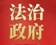 深河乡关于2025年法治政府建设情况的报告