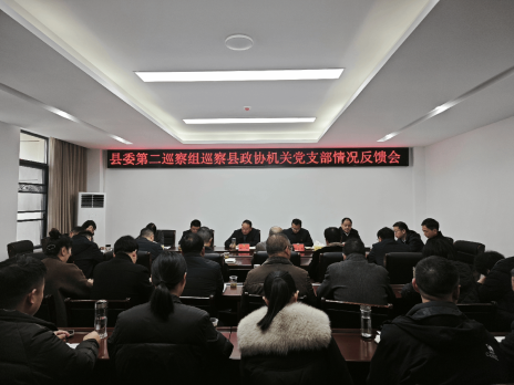 县委第二巡察组向县政协机关党支部反馈巡察情况