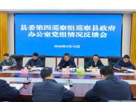 县委第四巡察组向县政府办公室党组反馈巡察情况