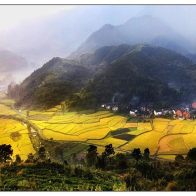 新春打卡红色场馆 大悟红色传承“热辣滚烫”