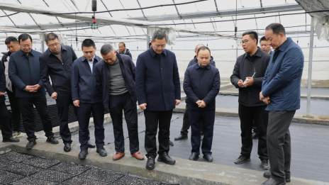 我县锚定亿元目标抓实烟叶育苗备耕 