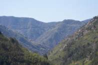 野桃点缀堵河源 碧水如绸绕山行