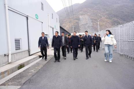 我县召开2026年蔬菜食用菌春季生产现场会