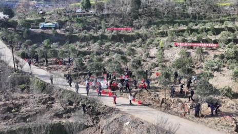 我县干部群众开展春季义务植树活动  