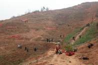 溢水镇：6000株油茶染绿山野