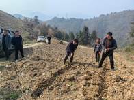 官渡镇：春润烟田启新程 开沟覆膜忙增收