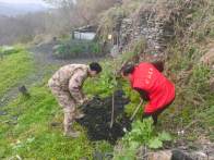 矿山披绿添新景 果苗扎根启新程