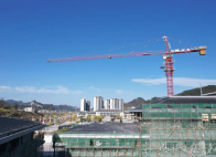 武陵春早茶事忙