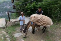 从“索道运茶”到“云端卖茶”的变迁