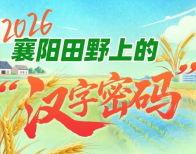 省委一号文件落地襄阳，在田野上“长”出了八个汉字