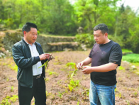 “一叶轻舟”万重山