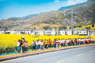 黄花映彩虹　美景入画来