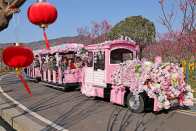 春节乡村游  持续升温