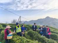 上庸镇：织密交通安全网 护航平安采茶季