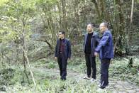 县九女峰管理局开展巡林防火主题活动